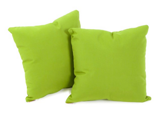 Sunbrella Canvas Ginkgo Pillows with Premium Trillium Insert (Set of 2)